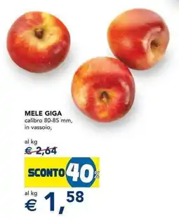 Esselunga Mele giga offerta