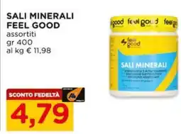 Alì Supermercati Sali minerali FEEL GOOD offerta