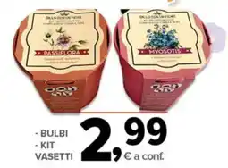 Todis Bulbi kit vasetti offerta