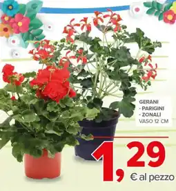 Todis Gerani parigini zonali vaso 12 cm offerta