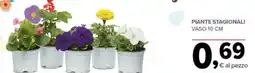Todis Piante stagionali vaso 10 cm offerta
