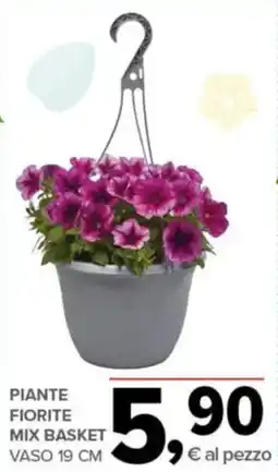 Todis Piante fiorite mix basket vaso 19 cm offerta