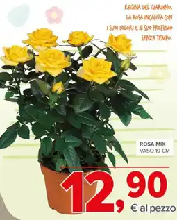 Todis Rosa mix vaso 19 cm offerta