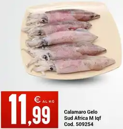 Centro Cash Calamaro Gelo Sud Africa M Iqf offerta