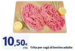 Sigma Superstore Trita per ragù di bovino adulto offerta