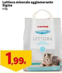 Sigma Superstore Lettiera minerale agglomerante Sigma offerta
