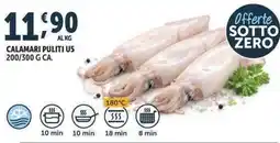Deco Superfreddo Calamari puliti U5 offerta