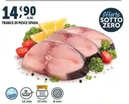 Deco Superfreddo Trance di pesce spada offerta