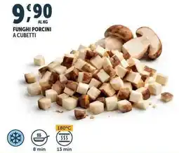 Deco Superfreddo Funghi porcini a cubetti offerta
