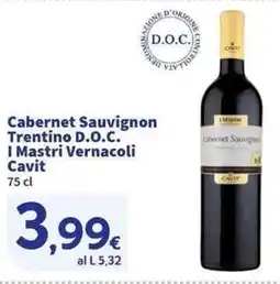 Sigma Superstore Cabernet Sauvignon Trentino D.O.c. I Mastri Vernacoli Cavit offerta