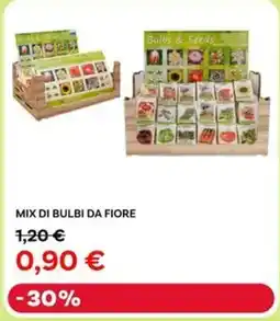 Max Factory Mix di bulbi da fiore offerta