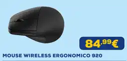 Euronics Hp mouse wireless ergonomico 920 offerta