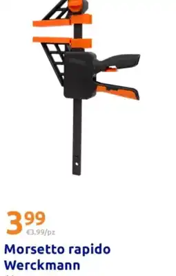 Action Morsetto rapido Werckmann offerta