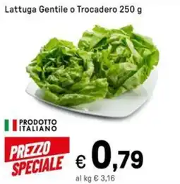 Iper La Grande Lattuga Gentile o Trocadero offerta