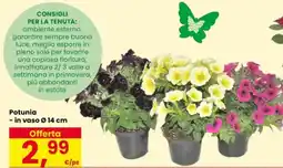 Despar Potunia offerta