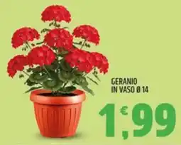 Ard Discount Geranio in vaso ø 14 offerta