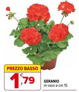 Iperal Geranio offerta