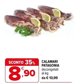 Iperal Calamari patagonia offerta