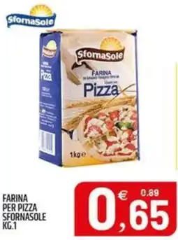 Ard Discount Farina per pizza SFORNASOLE offerta