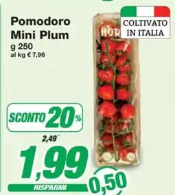 Prix Quality Pomodoro Mini Plum offerta