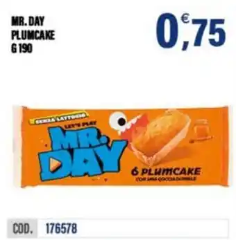 Mr.day plumcake