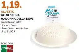 Basko Mù di bruna madonna della neve offerta