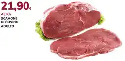 Basko Scamone di bovino adulto offerta