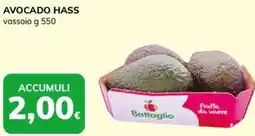 Basko Avocado hass offerta