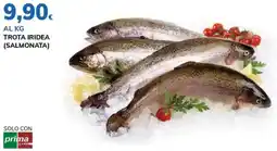 Basko Trota iridea (salmonata) offerta