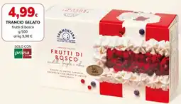 Basko SAMMONTANA Trancio gelato offerta