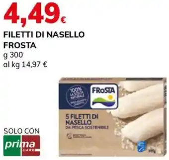 Basko Filetti di nasello FROSTA offerta