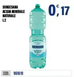 Adhoc Sorgesana acqua minerale naturale offerta
