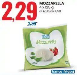 Eurospin Land mozzarella offerta
