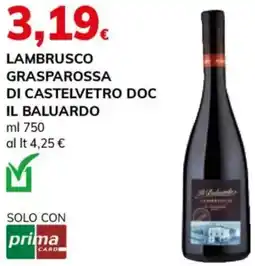 Basko Lambrusco grasparossa di castelvetro doc il baluardo offerta