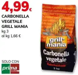 Basko Carbonella vegetale GRILL MANIA offerta