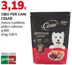 Basko Cibo per cani CESAR offerta
