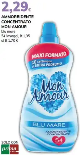 Basko Ammorbidente concentrato MON AMOUR offerta