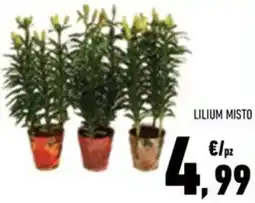 Conad Lilium misto offerta