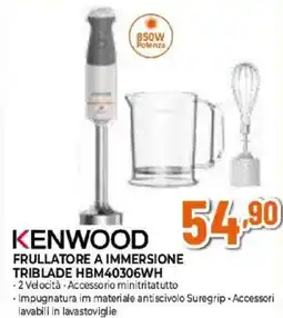 Expert KENWOOD FRULLATORE A IMMERSIONE TRIBLADE HBM40306WH offerta