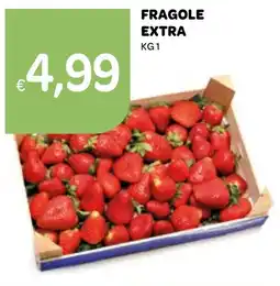 Ekom Fragole extra offerta