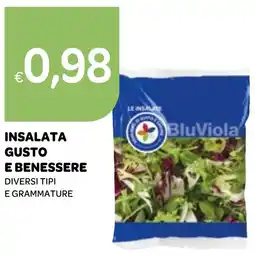 Ekom Bluviola insalata gusto e benessere offerta