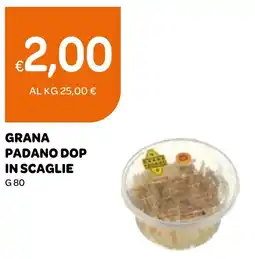 Ekom Grana padano dop in scaglie offerta