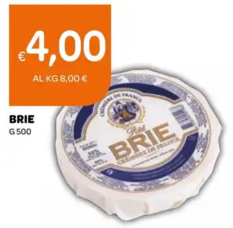 Ekom Brie offerta
