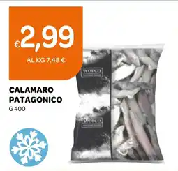 Ekom Calamaro patagonico offerta