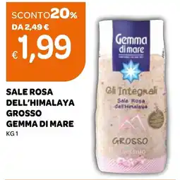 Ekom Sale rosa dell'himalaya grosso GEMMA DI MARE offerta