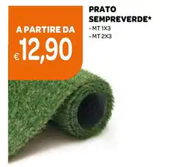 Ekom Prato sempreverde offerta