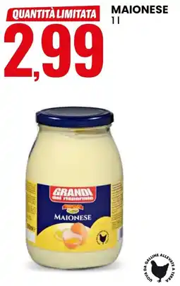 Eurospin Delizie dal sole maionese offerta