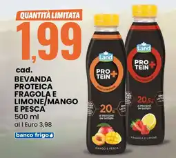 Eurospin Land bevanda proteica fragola e limone/mango e pesca offerta