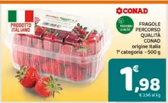 FRAGOLE PERCORSO QUALITÀ CONAD