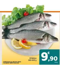 Conad Spigola offerta